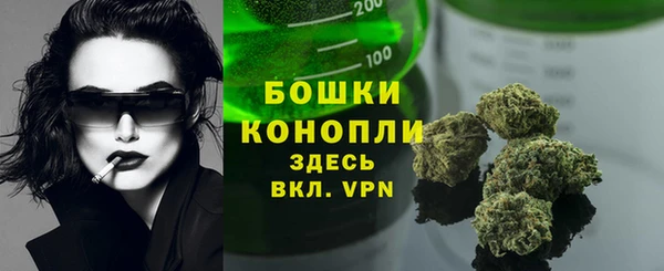 ешки Протвино
