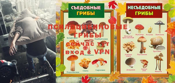 ALPHA PVP Пролетарск