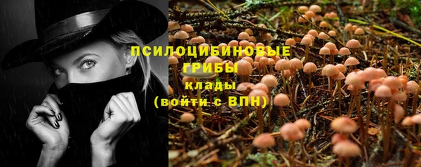 ешки Протвино