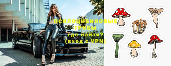 ешки Протвино