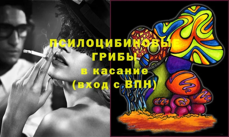 Псилоцибиновые грибы Magic Shrooms  купить закладку  Белинский 
